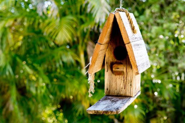 istock Simple rustic wooden birdhouse hanging against greenery background 802410822