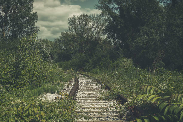 Old, abandoned railway tracks, overgrown with nature