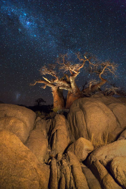 istock bab trees and rocks under the milkyway 802414104