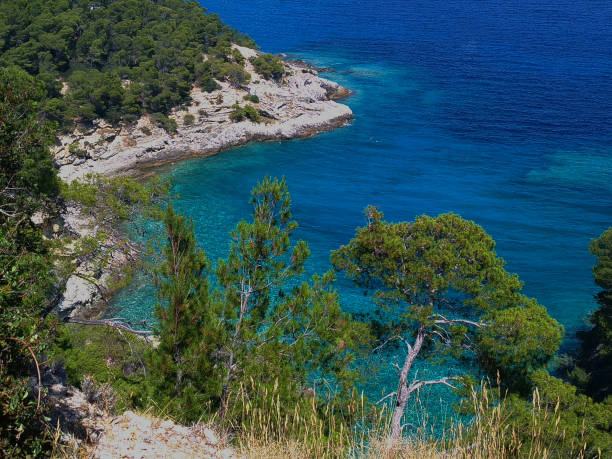 Bay in the San Domino island, Tremiti, Italy