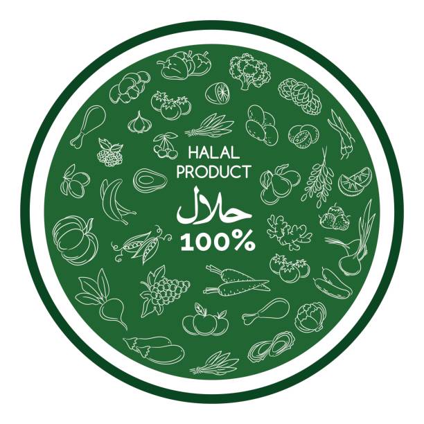 Green halal products banner design Green halal products banner design on white background. Vector illustration kosher logo stock illustrations