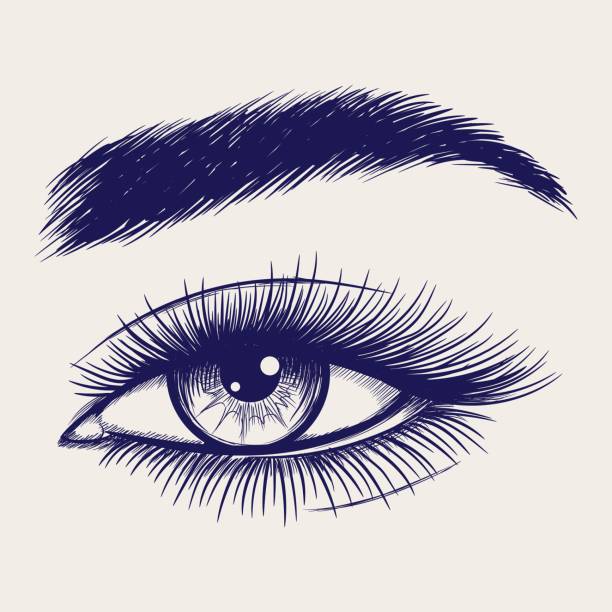 пенный эскиз красивого женского глаза - women human face sensuality human eye stock illustrations