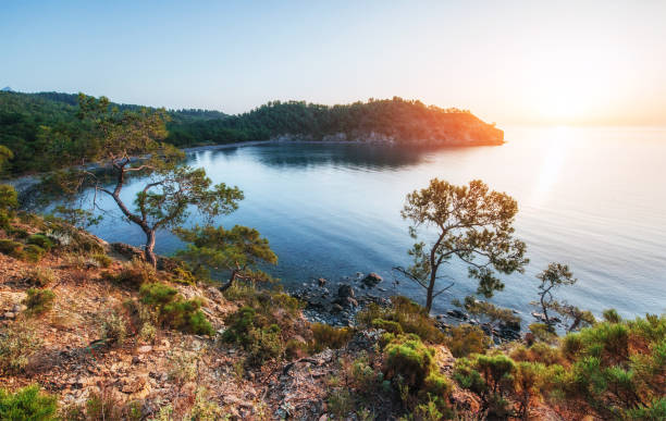 istock blue sea wave of mediterranean  on turkish coast in the eveni 802429572