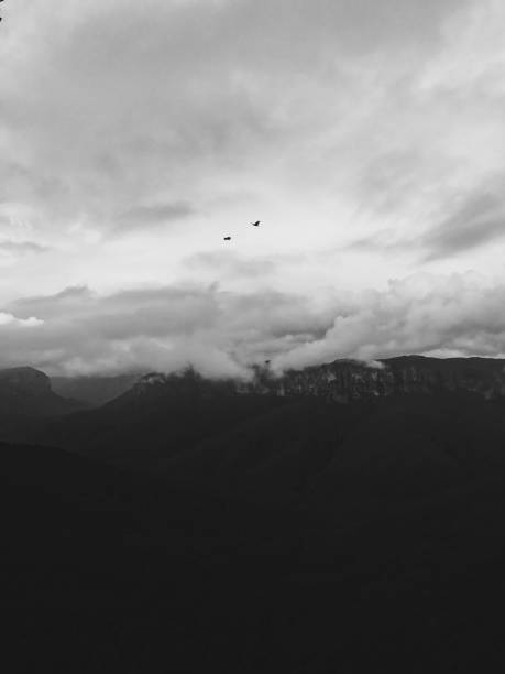 istock Scenic view of nature landscape 802436694