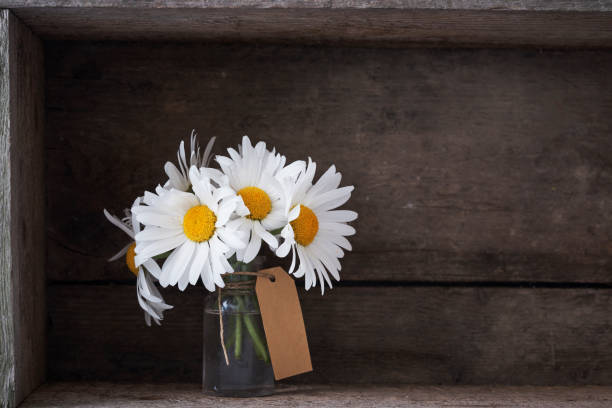 istock Beautiful floral bouquet with daisies 802440306