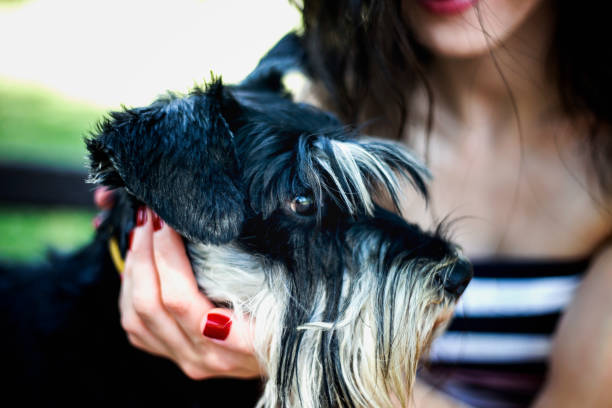 istock Girl with her dog resting outdoors 802444420