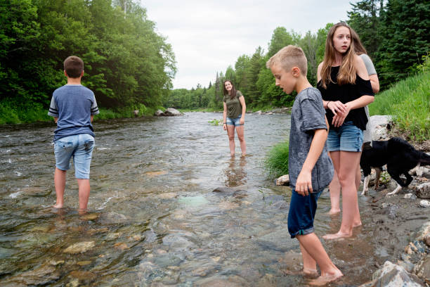 istock Kids and dog playing in river in summer nature. 802459398