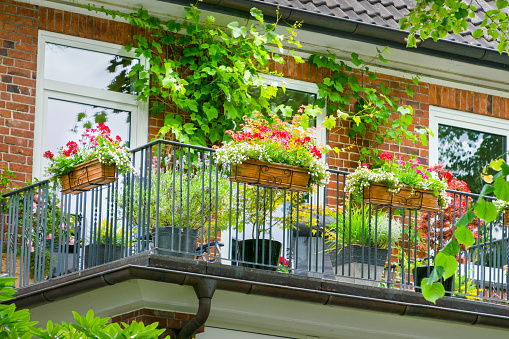 Flower boxes on the balcony