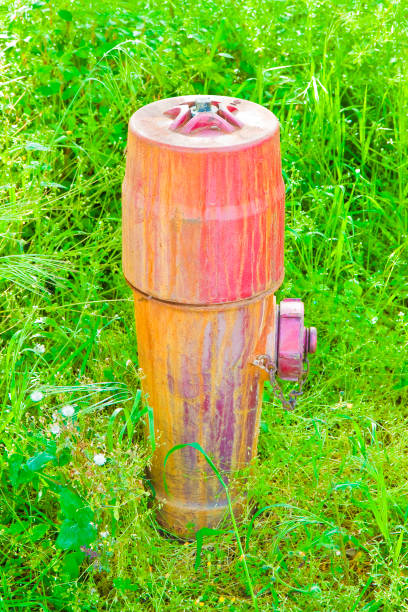istock Old red metal hydrant in a green meadow 802465074