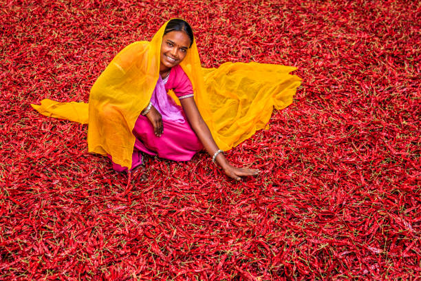 istock Young Indian woman sorting red chilli peppers, Jodhpur, India 802472182
