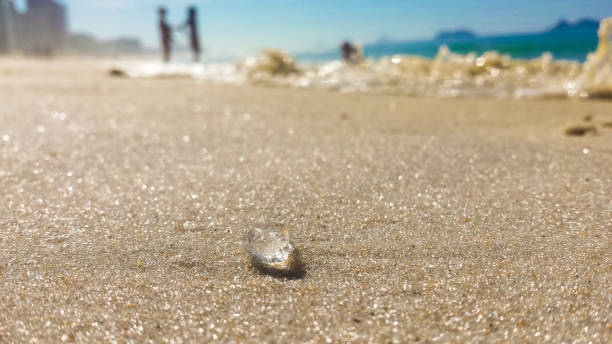 istock Tiny jellyfish on the beach - Barra da Tijuca - Rio de Janeiro - Brazil 802477370