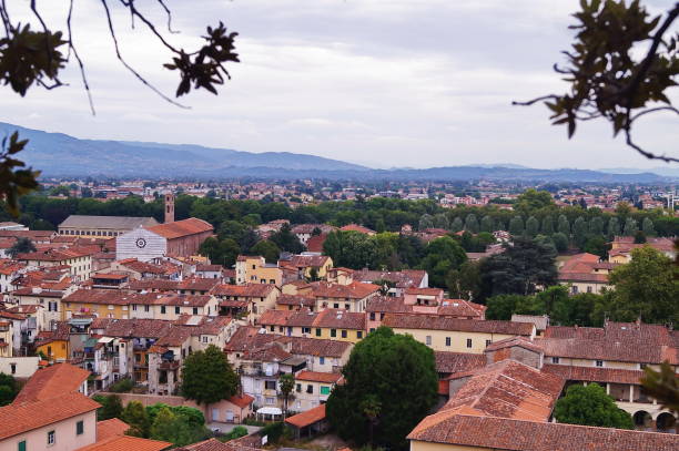 istock Aerial view from the Guinigi Tower of Lucca 802480414