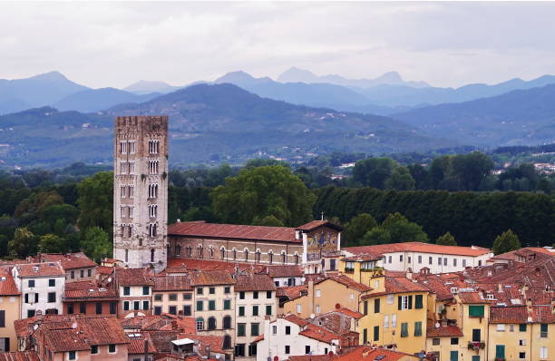 istock Aerial view from the Guinigi Tower of Lucca 802480764
