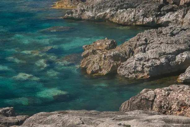 Photo of View of Cala Tramontana in the San Domino island