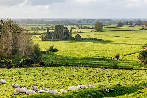 Landscape photo of Hore Abbey in Cashel county Tipperary