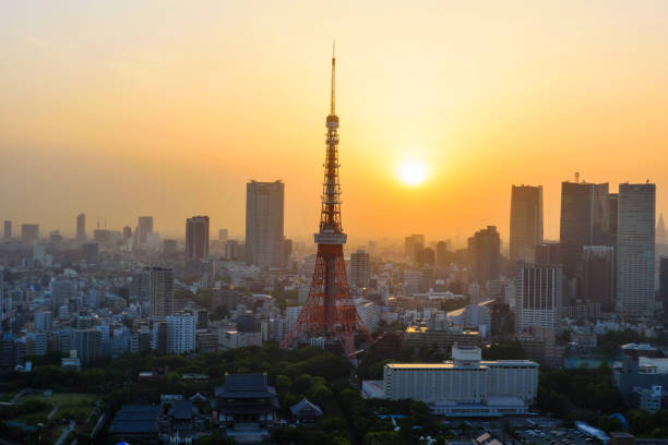 istock Tokyo tower at sunset from World Trade Center building view 802518220