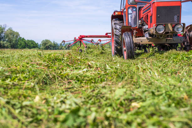 istock Turning the mowed grass with a tractor 802531516