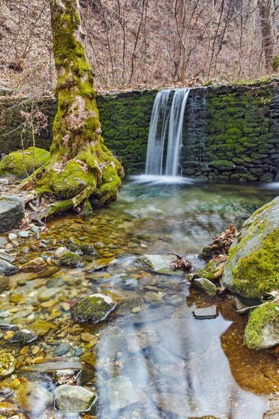 istock Amazing Waterfall on Crazy Mary River, Belasitsa Mountain 802540054
