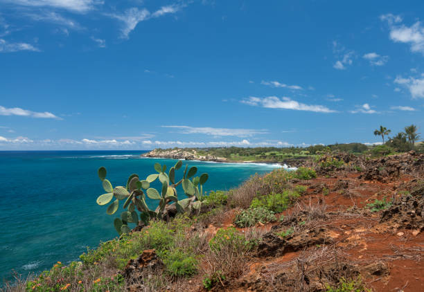 istock Makawehi bluff and Poipu in Kauai 802543452