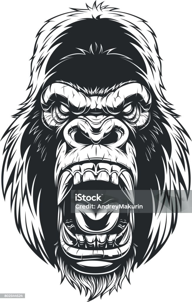Wilden Gorilla Kopf - Lizenzfrei Menschenaffe Vektorgrafik