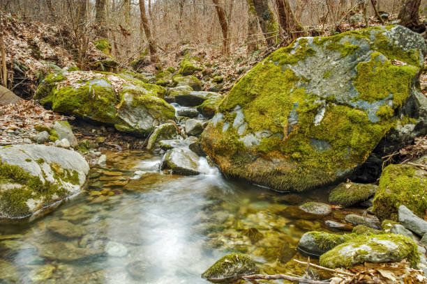istock Amazing view of Crazy Mary River, Belasitsa Mountain 802544904