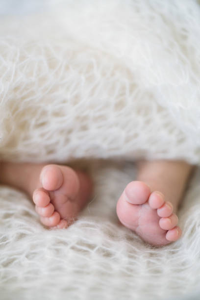 istock newborn Feet. Children concept 802551500