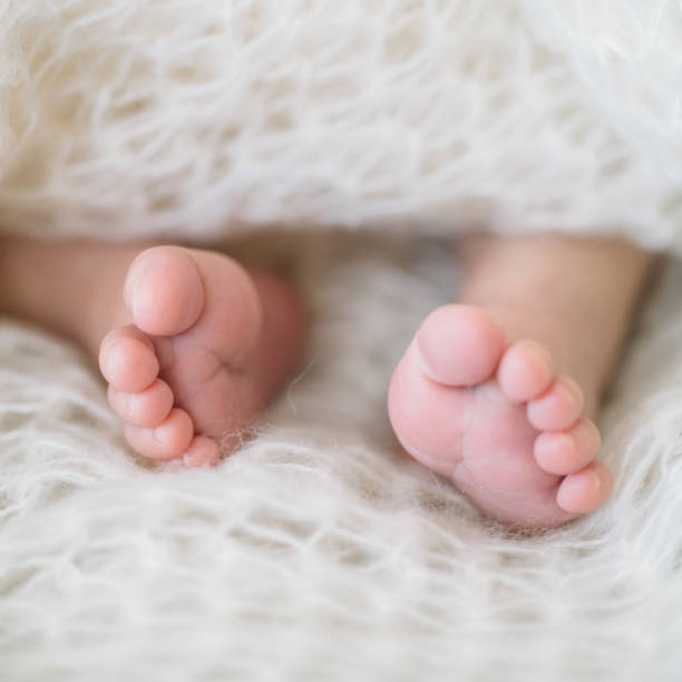 istock newborn Feet. Children concept 802551522
