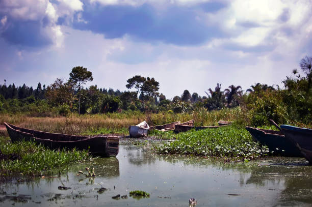 ビクトリア湖の漁船など - lake victoria ストックフォトと画像