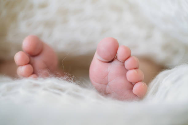 istock newborn Feet. Children concept 802551580