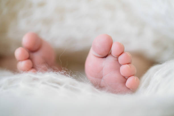 istock newborn Feet. Children concept 802551600