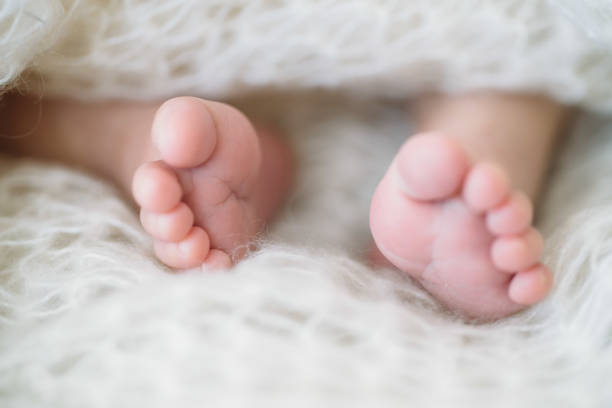 istock newborn Feet. Children concept 802551614