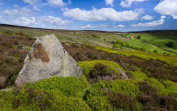 istock North York Moors in summer Glaisdale, Yorkshire, UK. 802558492