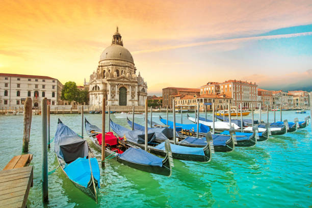 incredible optimistic color landscape of gondolas on the grand canal in the background basilica santa maria della salutein at dawn in venice, italy, europe. (romantic travel, honeymoon - concept) - venice italy italy gondola rialto bridge imagens e fotografias de stock