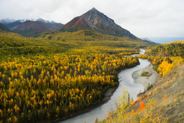istock Matanuska River Flows Autumn Season Fall Color Alaska 802573032