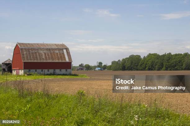 Farmland Stock Photo - Download Image Now - Maroon, Ontario - Canada, Agriculture