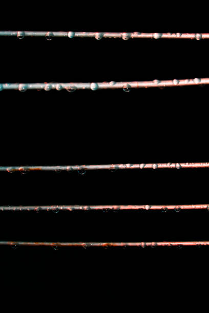 istock Close Up of Rain Drops on Washing Line with Black Background 802589532