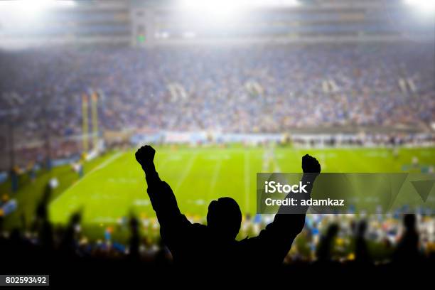 Excited Fans At Football Game Stock Photo - Download Image Now - American Football - Sport, Soccer, Match - Sport