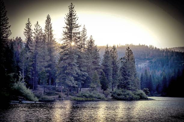 istock Dusk at Hume Lake 802595772