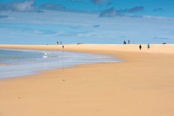 istock Sand Atlantic beach, France 802596098