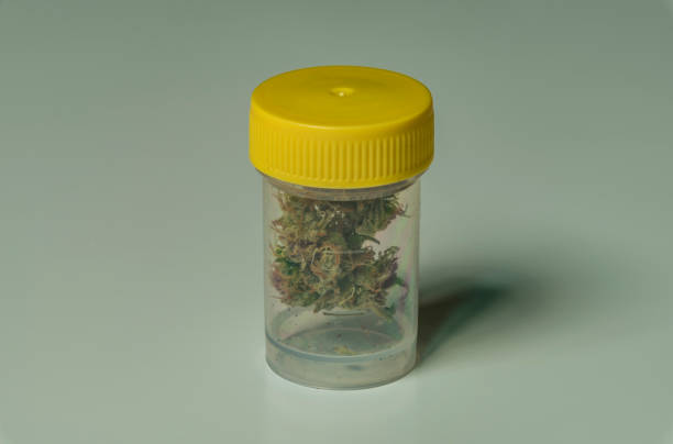 istock Medical marijuana in transparent plastic box 802599138