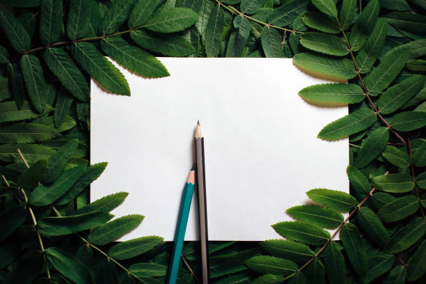 Creative layout made of green leaves. Flat lay. Nature concept.