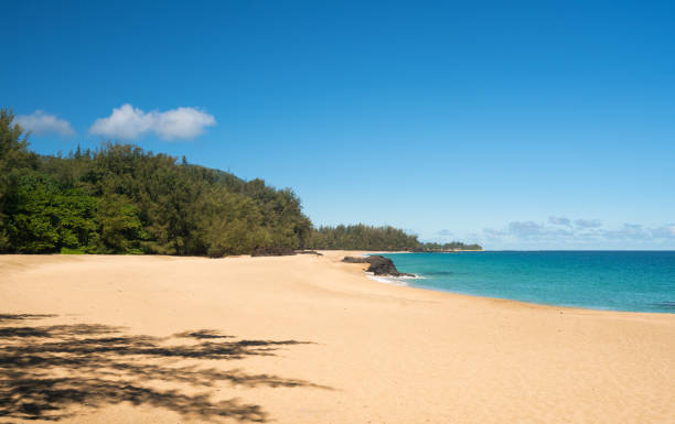 istock Lumahai Beach Kauai on calm day 802630328