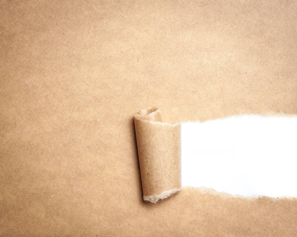 istock Blank torn brown paper with space for text on white background,copy space 802631340
