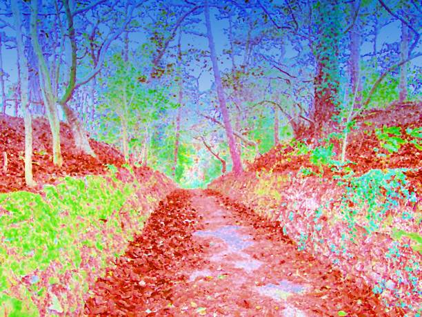 istock autumn forest woodland path with camera paint effect 802635492