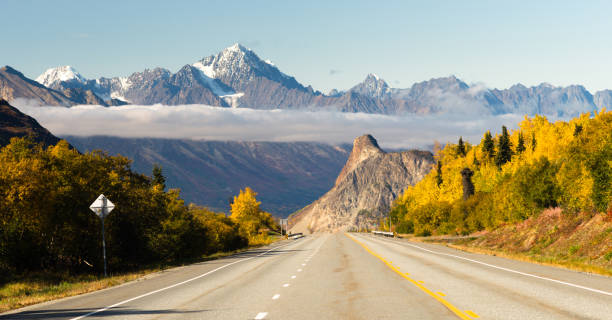 istock Road Leads Down Fall Season Open Road Alaska 802635714