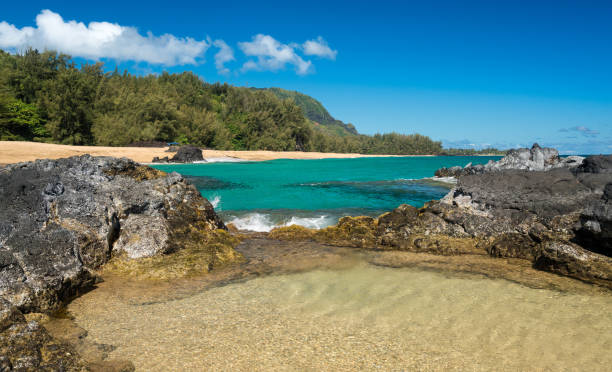 istock Lumahai Beach Kauai with waves flowing into pool 802635948