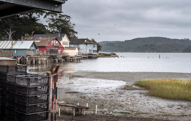 Tomales Bay, Hog Island where fresh oysters are farmed