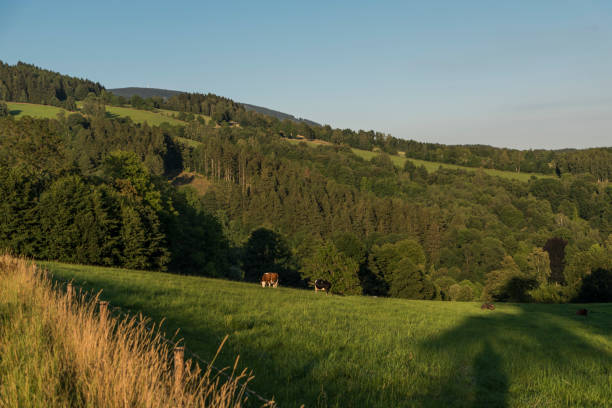 istock Meadows in summer evening near Vrchlabi 802639088