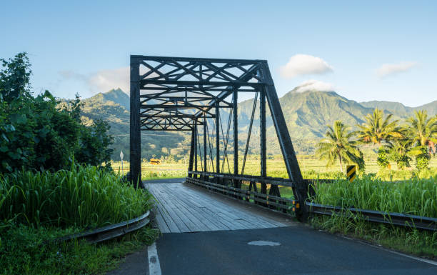 alte metall balkenbrücke auf weg zur hanalei kauai - hanalei stock-fotos und bilder