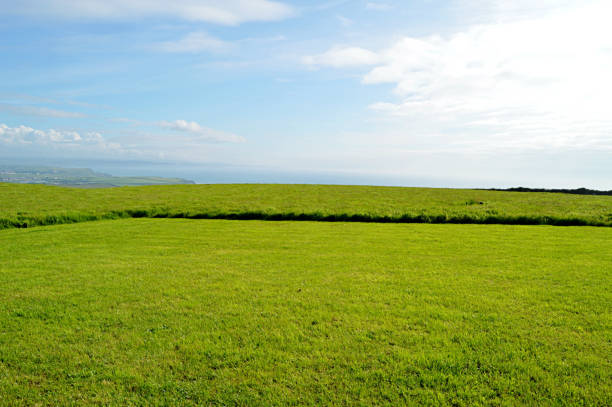 Beautiful scenic green meadows with clear sky in background. Suitable for wallpaper.